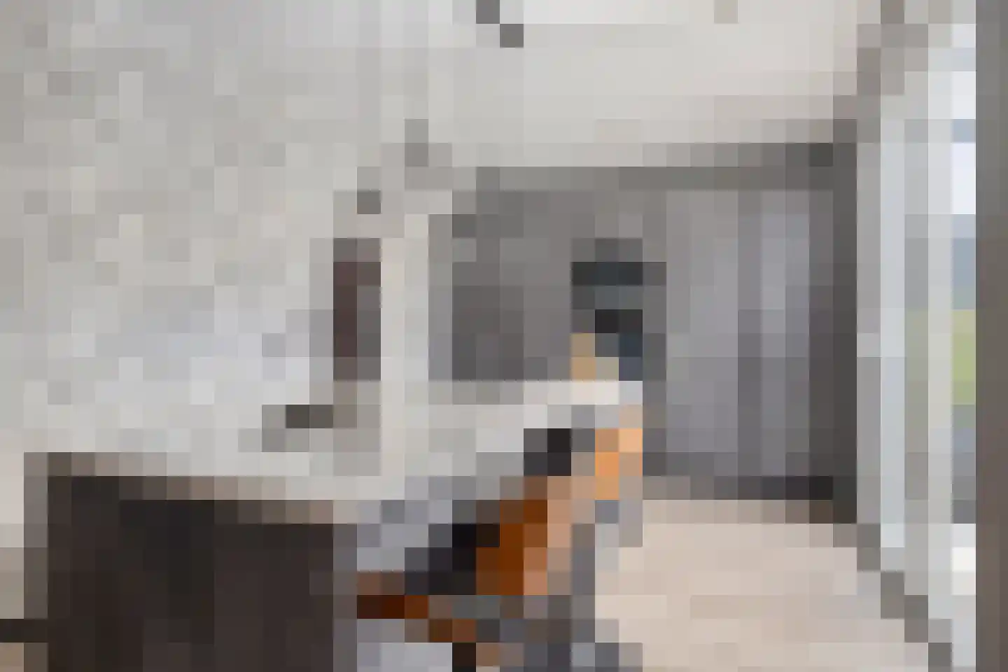 Fazantendonk 29 St. Willebrord thumbnail 23