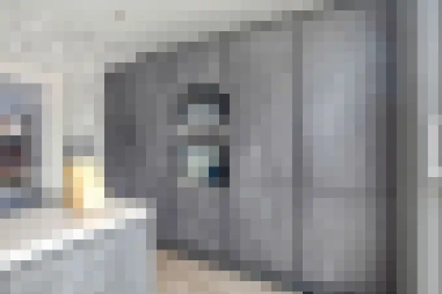 Fazantendonk 29 St. Willebrord thumbnail 24