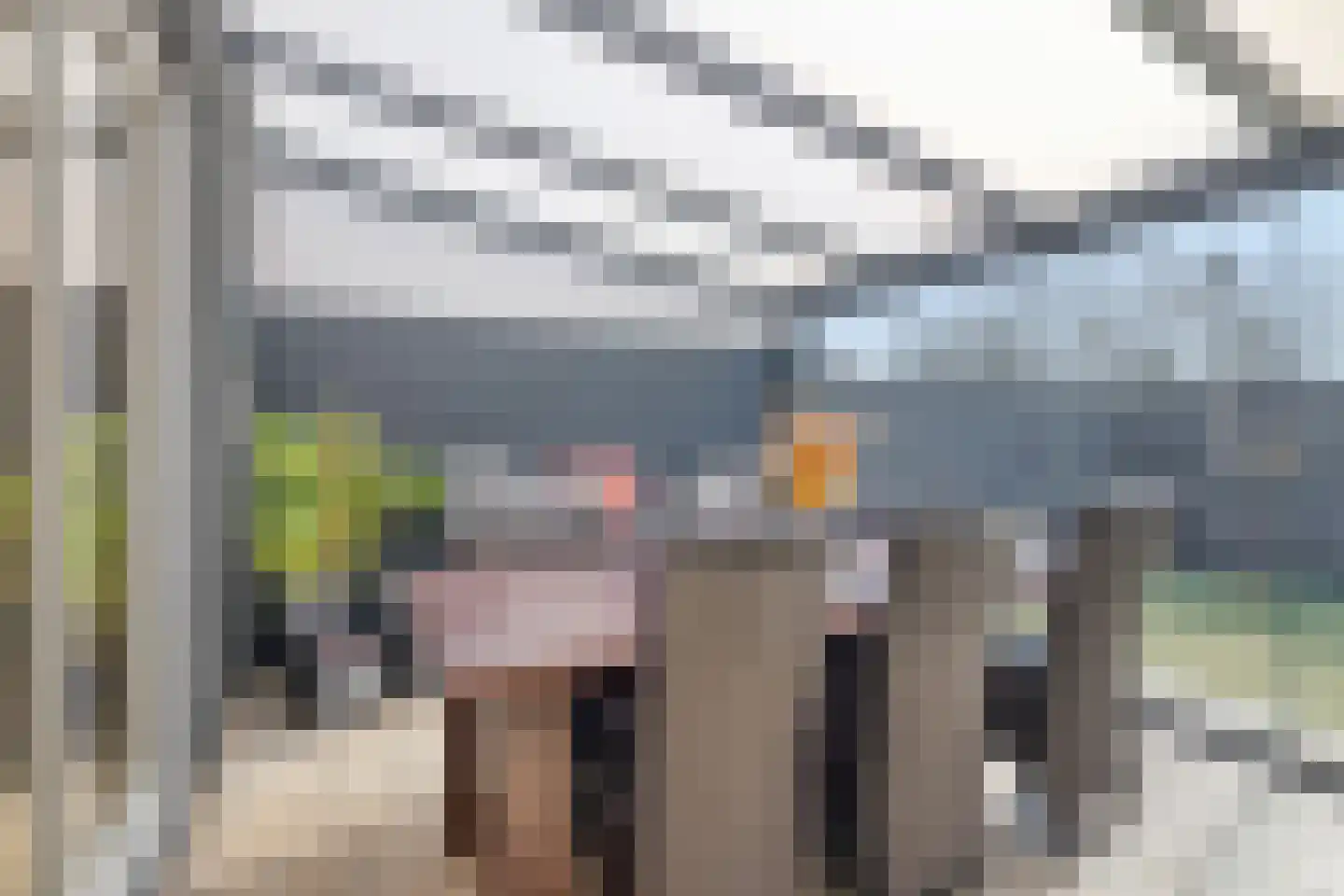 Fazantendonk 29 St. Willebrord thumbnail 26