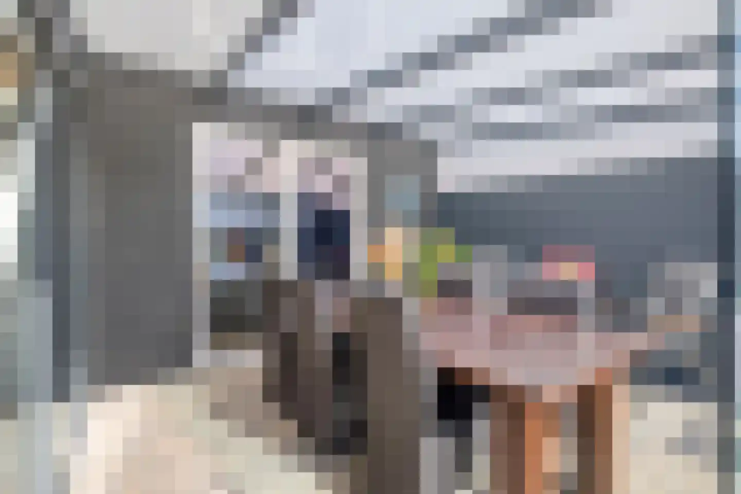 Fazantendonk 29 St. Willebrord thumbnail 27