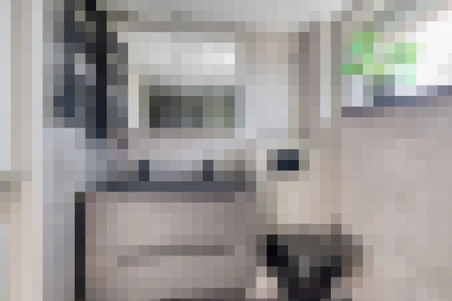 Fazantendonk 29 St. Willebrord thumbnail 32