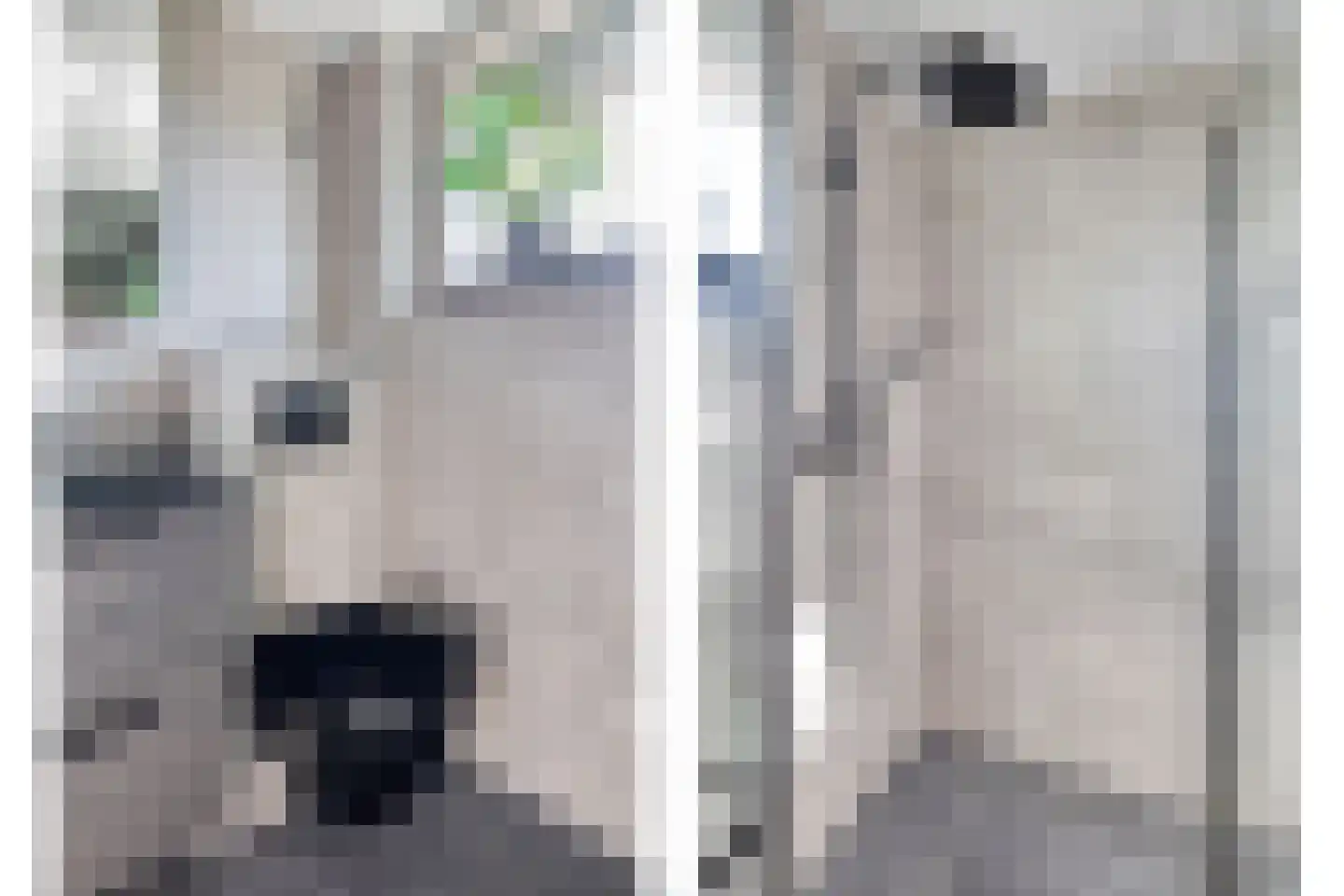 Fazantendonk 29 St. Willebrord thumbnail 33