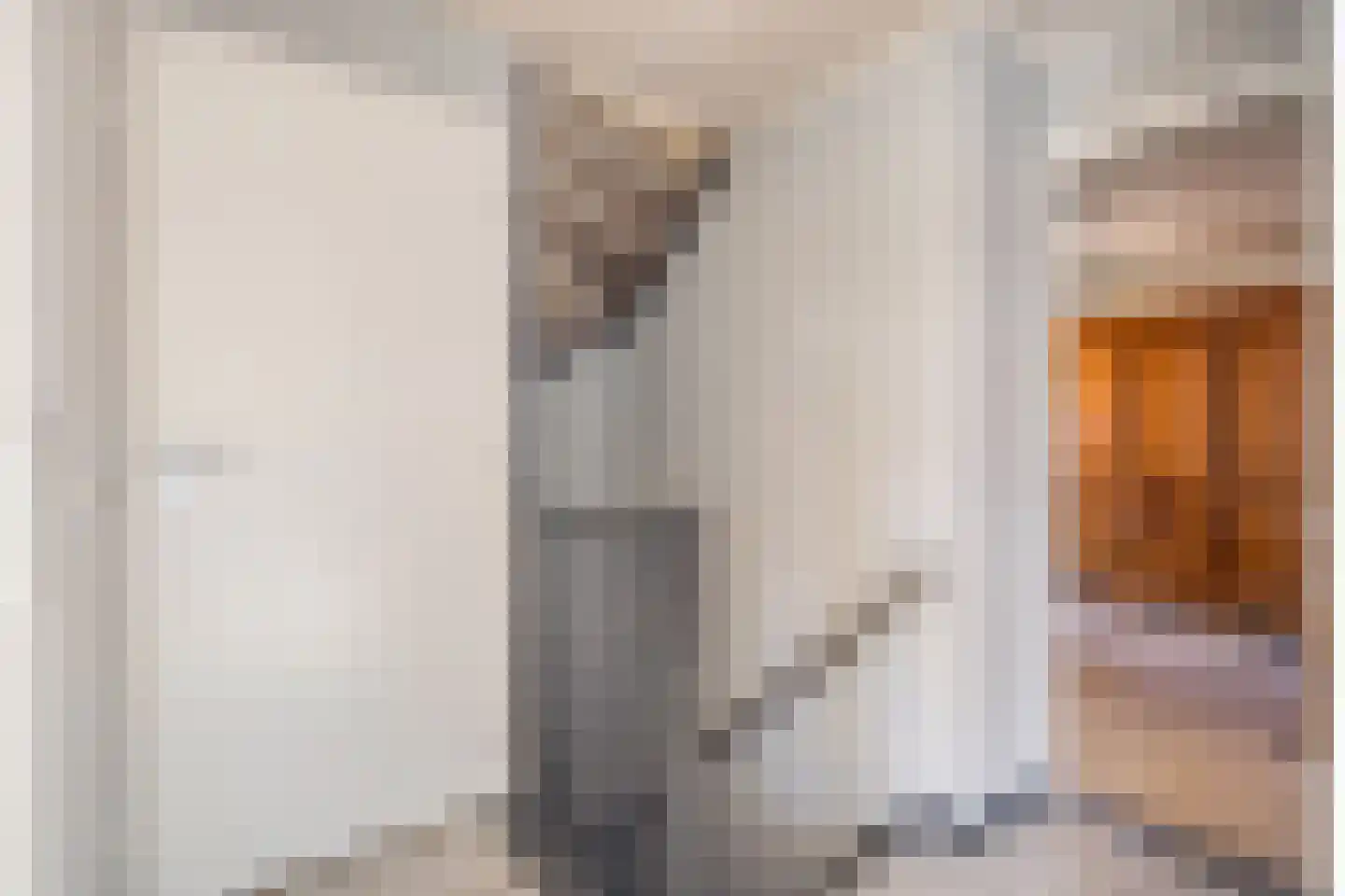 Fazantendonk 29 St. Willebrord thumbnail 34