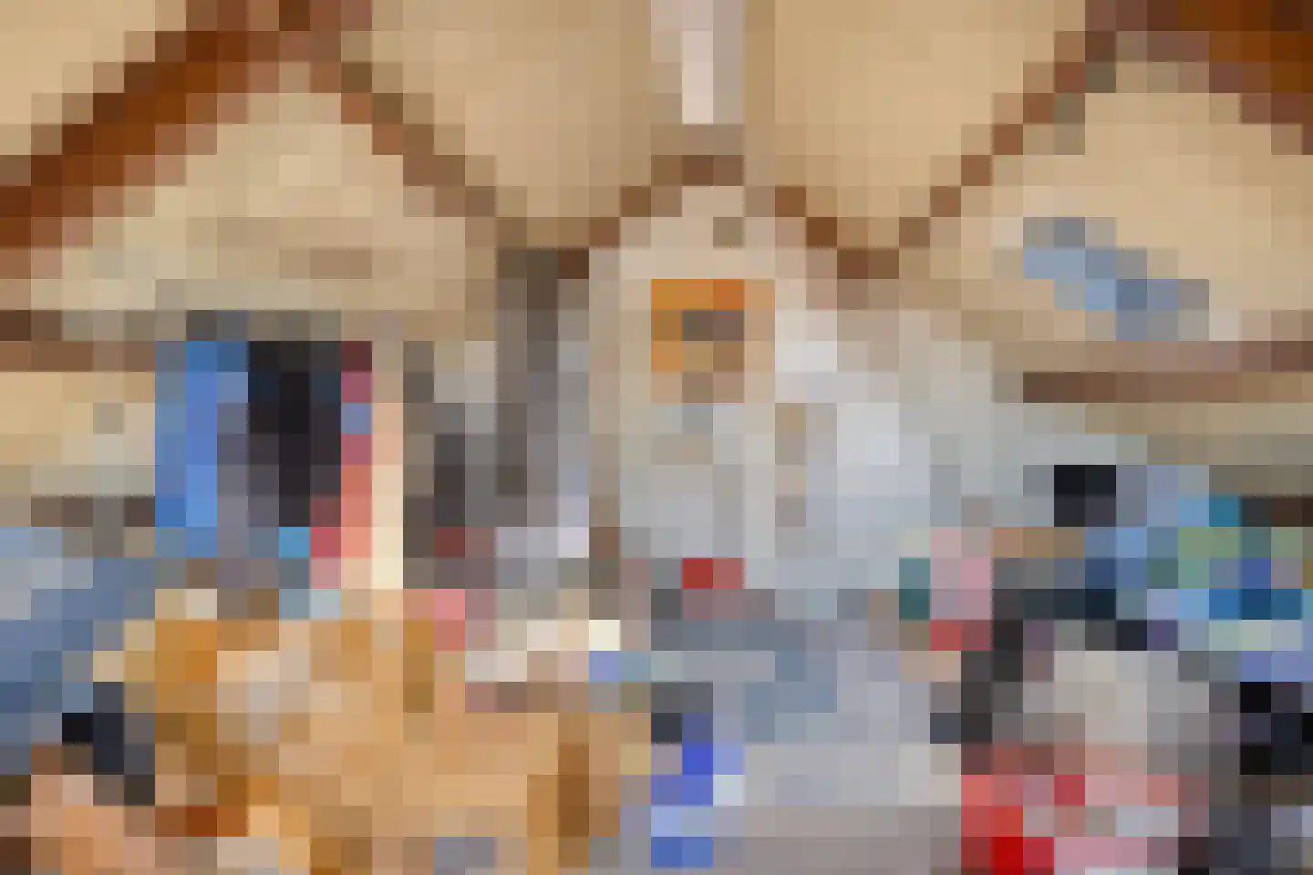 Fazantendonk 29 St. Willebrord thumbnail 35
