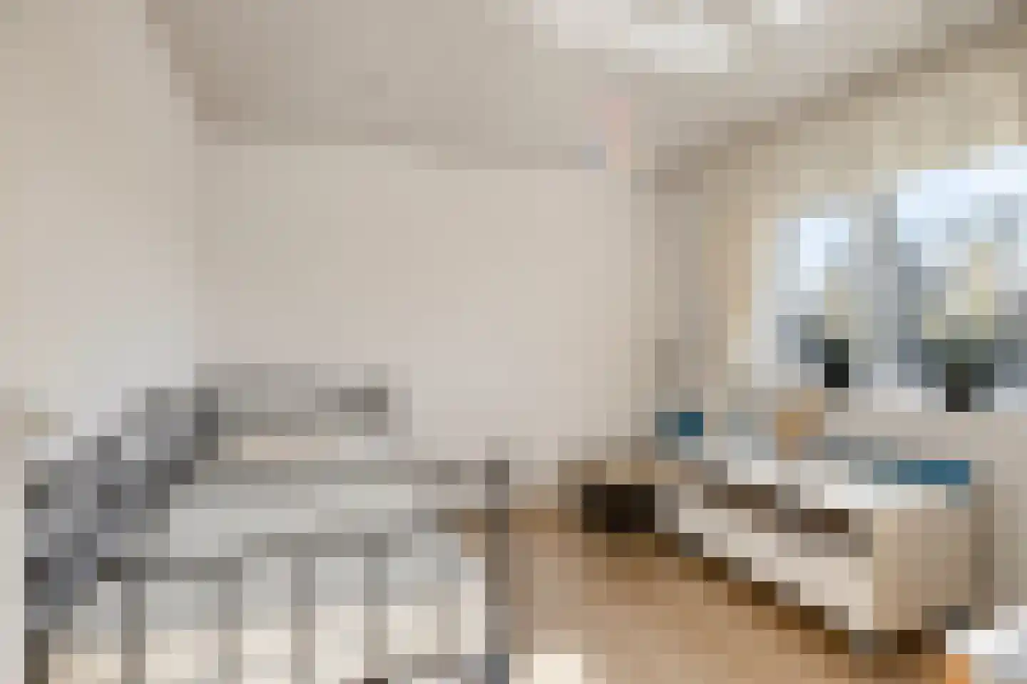 Fazantendonk 29 St. Willebrord thumbnail 36