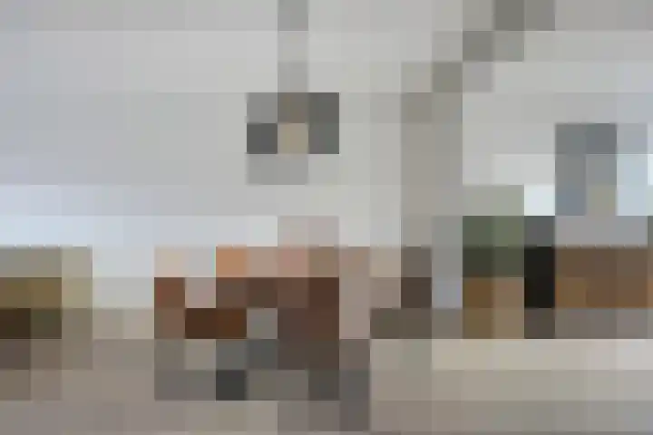 Fazantendonk 38 Veghel thumbnail 14