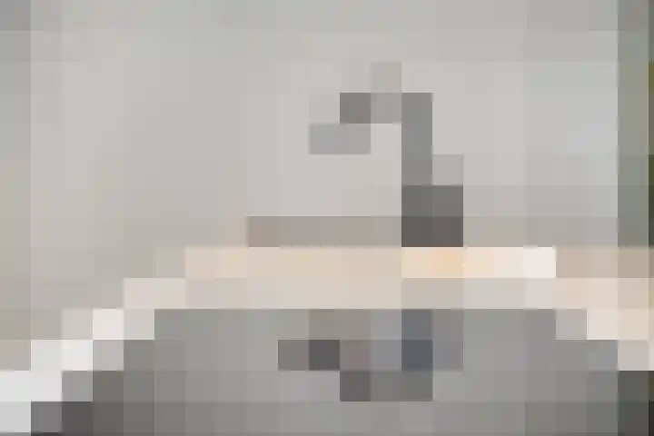 Fazantendonk 38 Veghel thumbnail 17