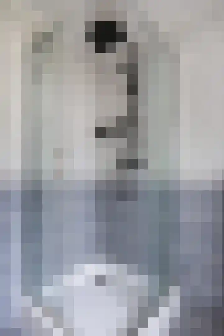 Fazantendonk 38 Veghel thumbnail 32