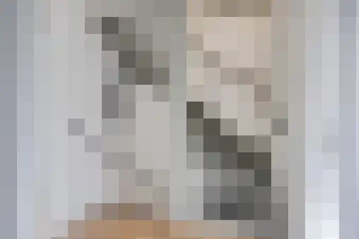 Fazantendonk 38 Veghel thumbnail 34