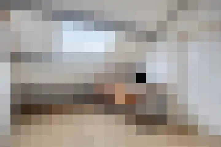 Fazantendonk 38 Veghel thumbnail 36