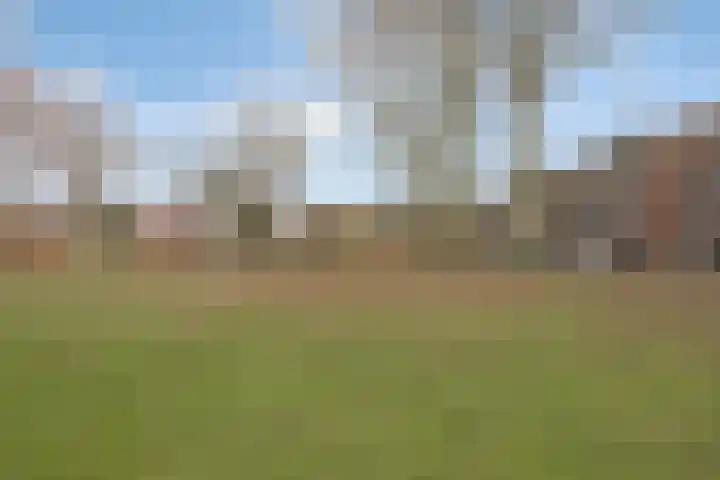 Fazantendonk 38 Veghel thumbnail 41
