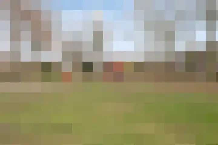 Fazantendonk 38 Veghel thumbnail 42