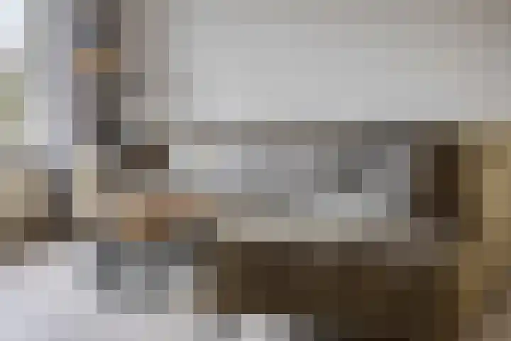 Fazantendonk 38 Veghel thumbnail 7