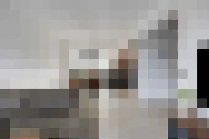 Fazantendonk 38 Veghel thumbnail 8