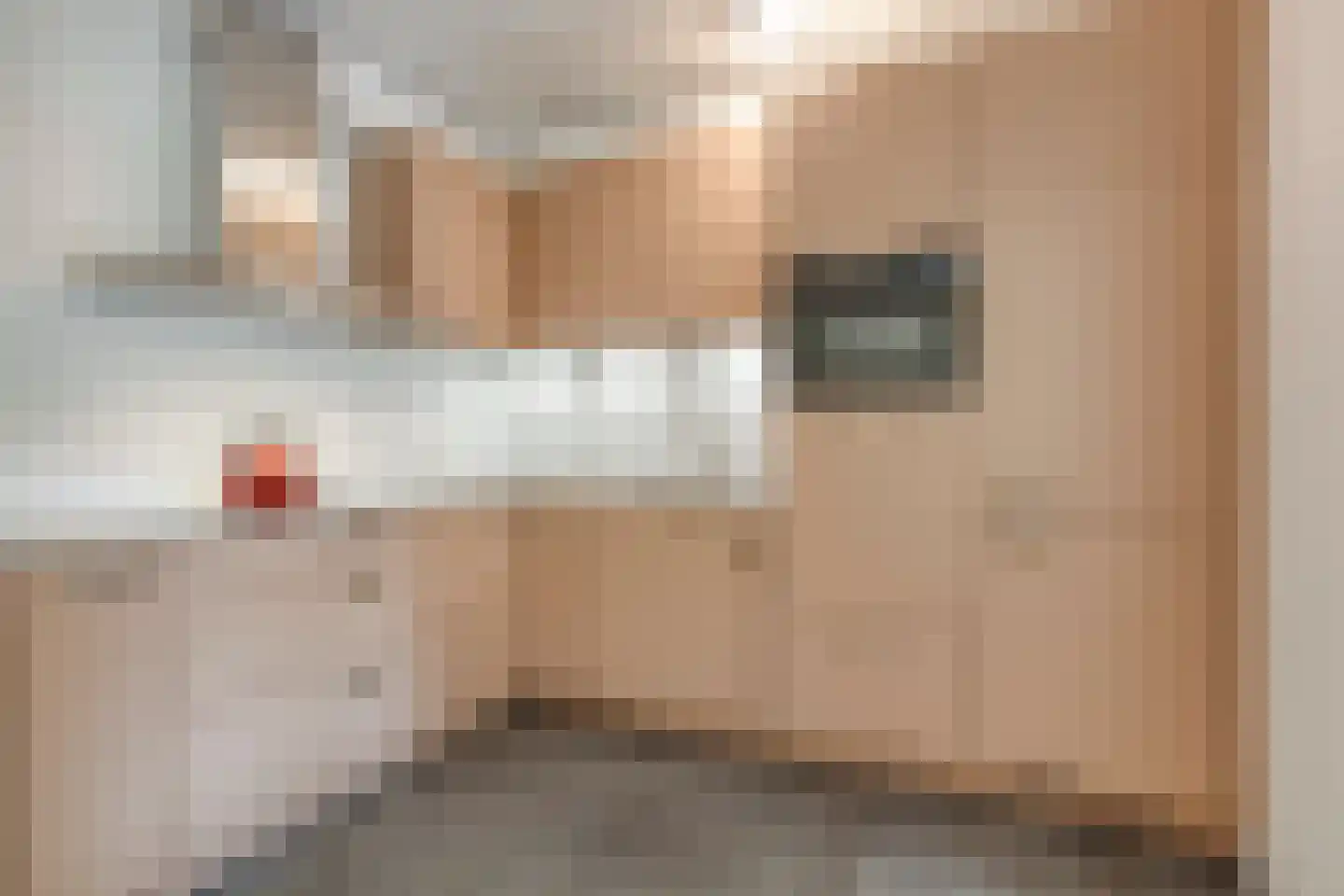Fazantendonk 45 Veghel thumbnail 12