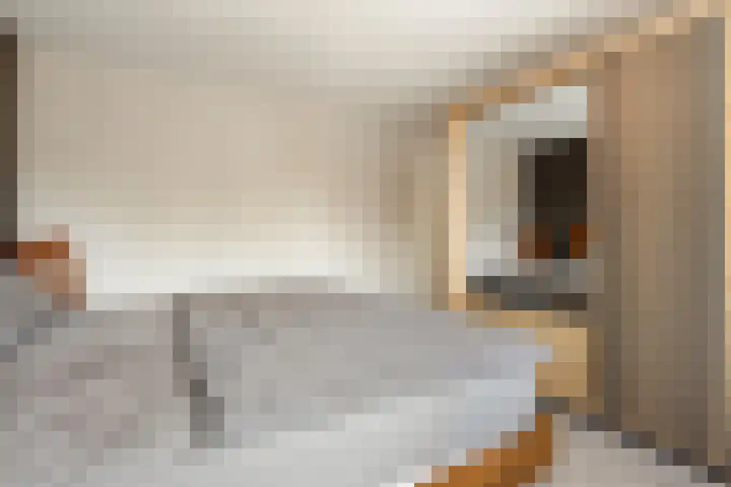 Fazantendonk 45 Veghel thumbnail 21