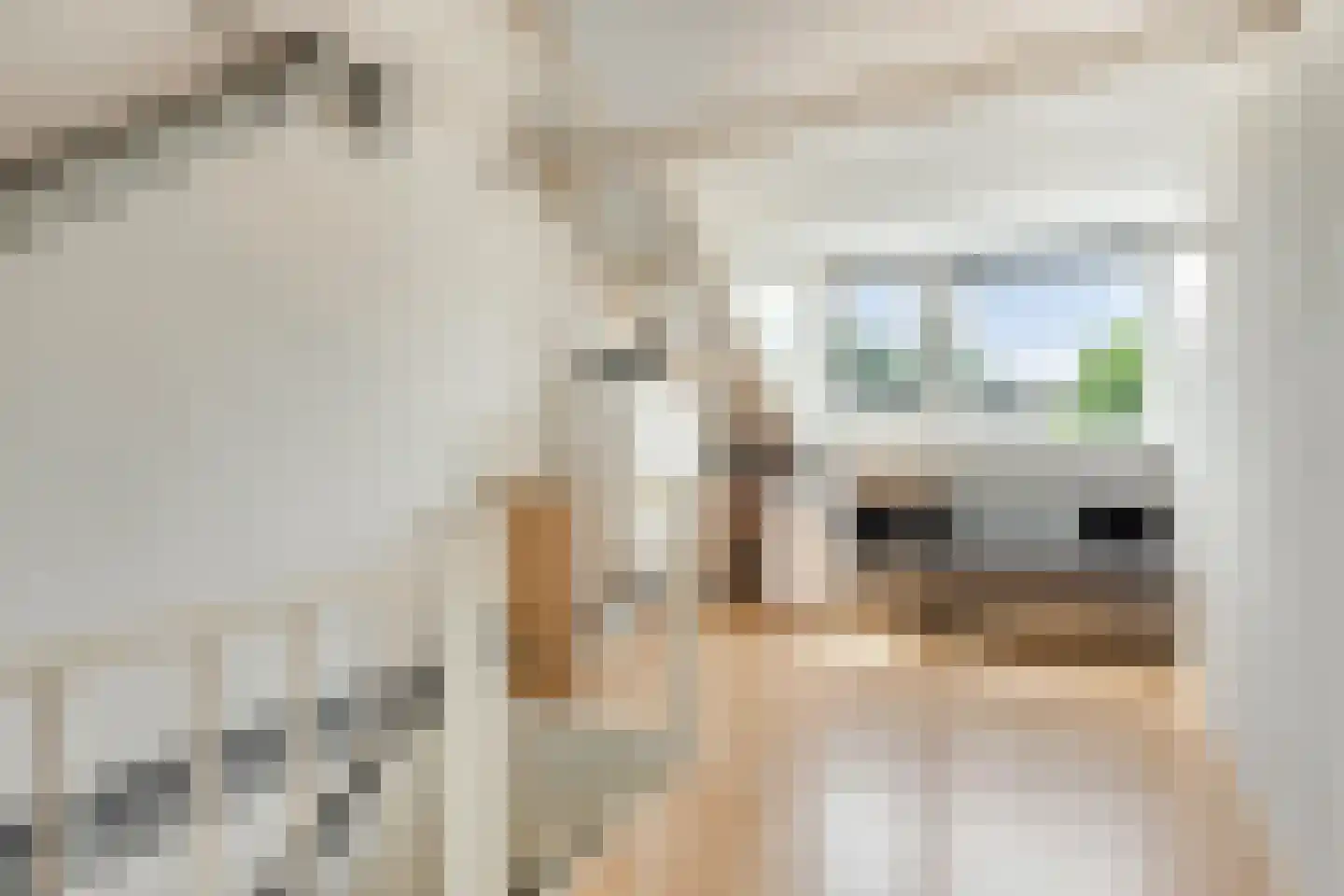 Fazantendonk 45 Veghel thumbnail 29