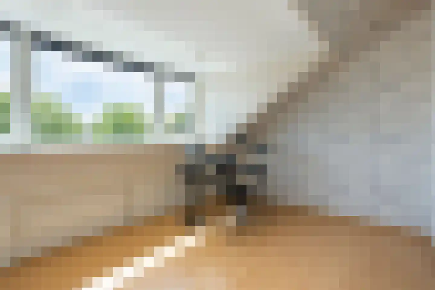 Fazantendonk 45 Veghel thumbnail 30