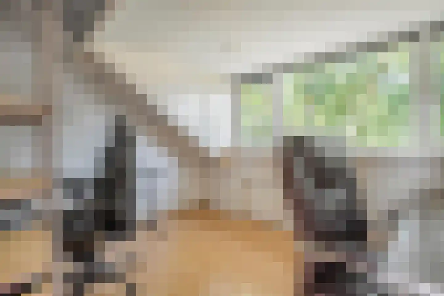Fazantendonk 45 Veghel thumbnail 31