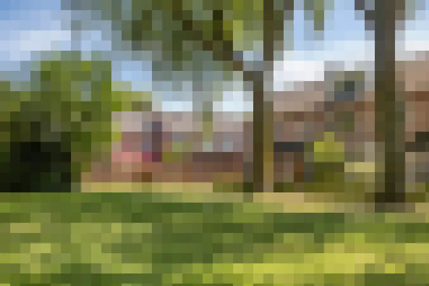 Fazantendonk 45 Veghel thumbnail 35