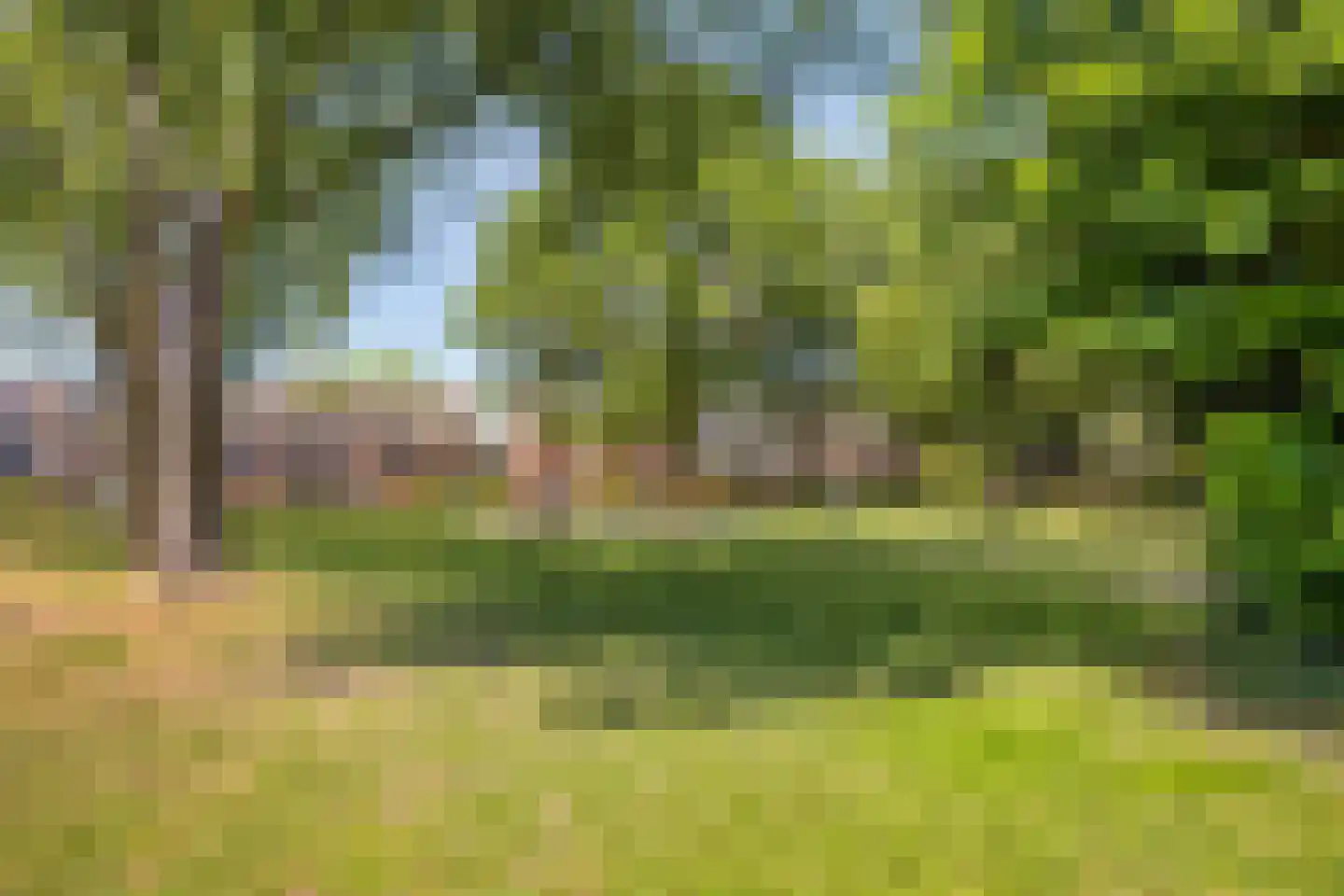 Fazantendonk 45 Veghel thumbnail 36