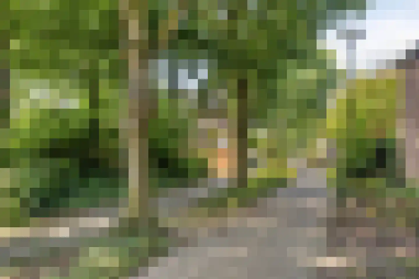 Fazantendonk 45 Veghel thumbnail 38