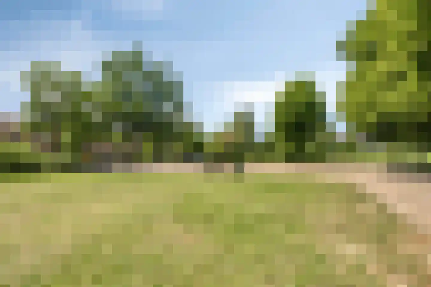 Fazantendonk 45 Veghel thumbnail 39