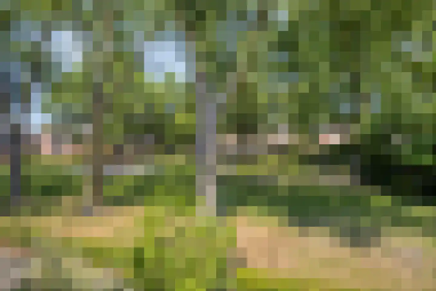 Fazantendonk 45 Veghel thumbnail 4