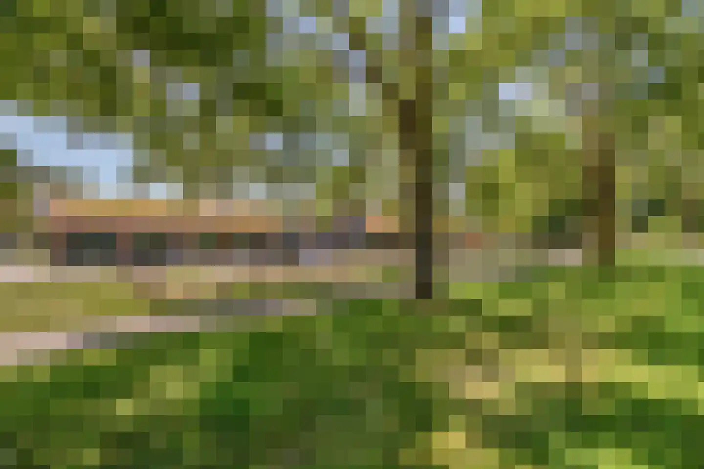 Fazantendonk 45 Veghel thumbnail 42