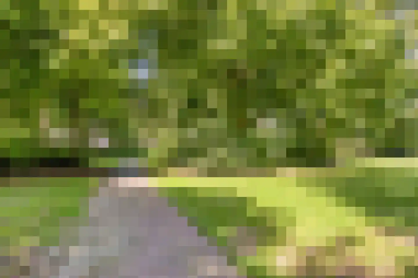 Fazantendonk 45 Veghel thumbnail 44