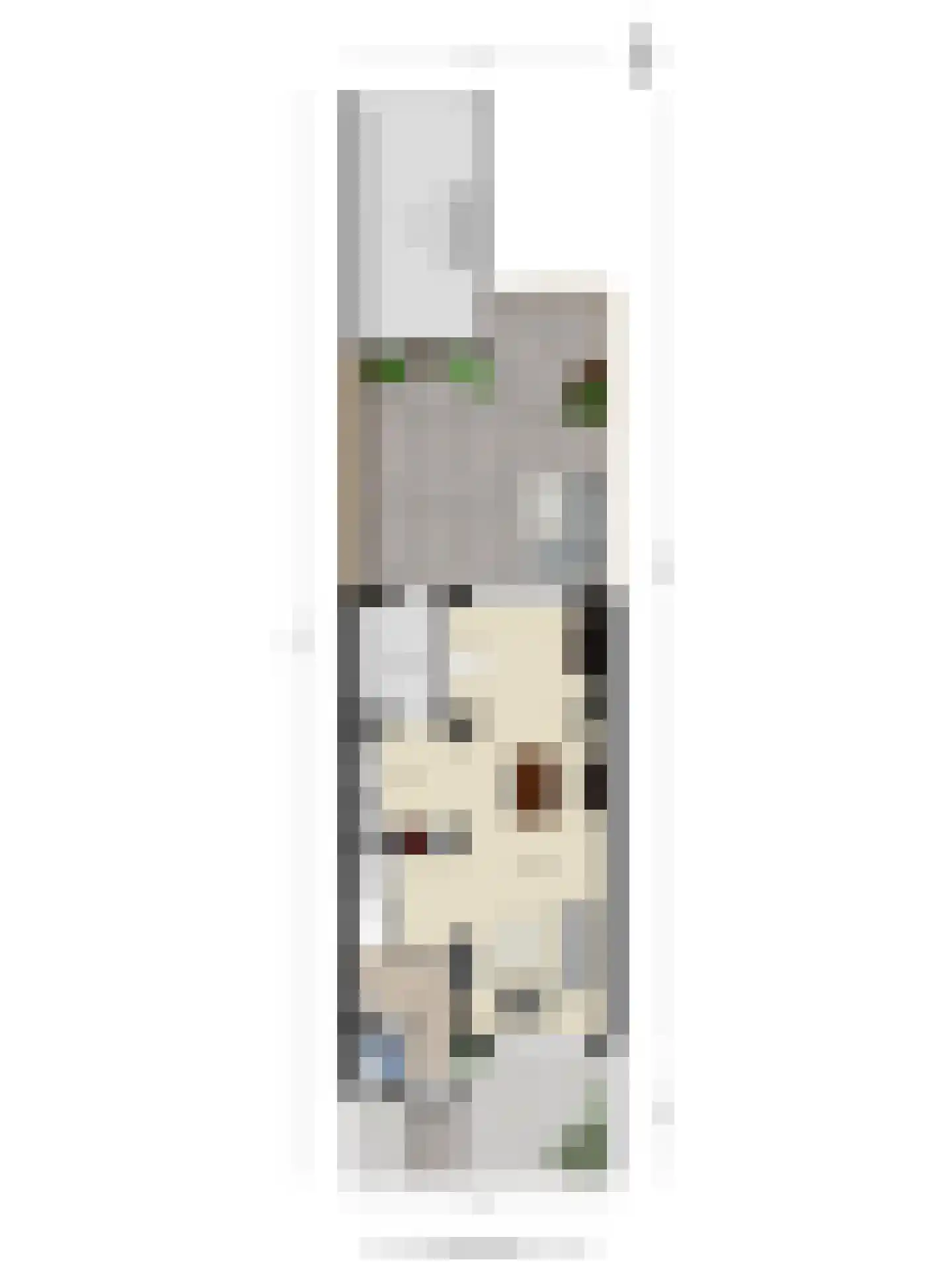 Fazantendonk 45 Veghel thumbnail 45