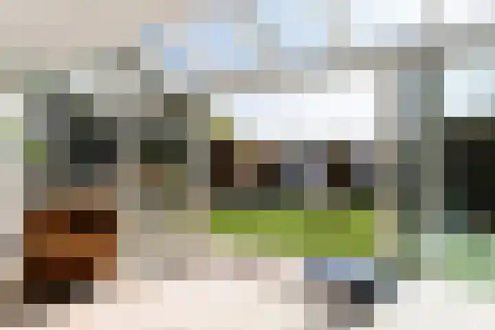 Fazantendreef 11 Moordrecht thumbnail 21