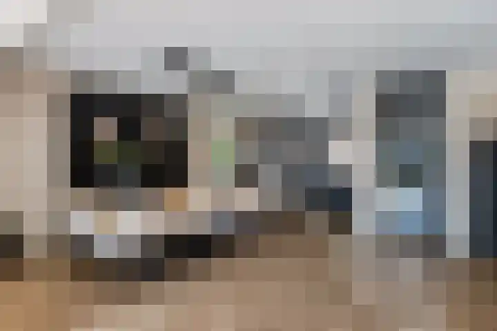 Fazantendreef 11 Moordrecht thumbnail 23