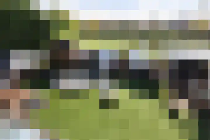 Fazantendreef 11 Moordrecht thumbnail 49