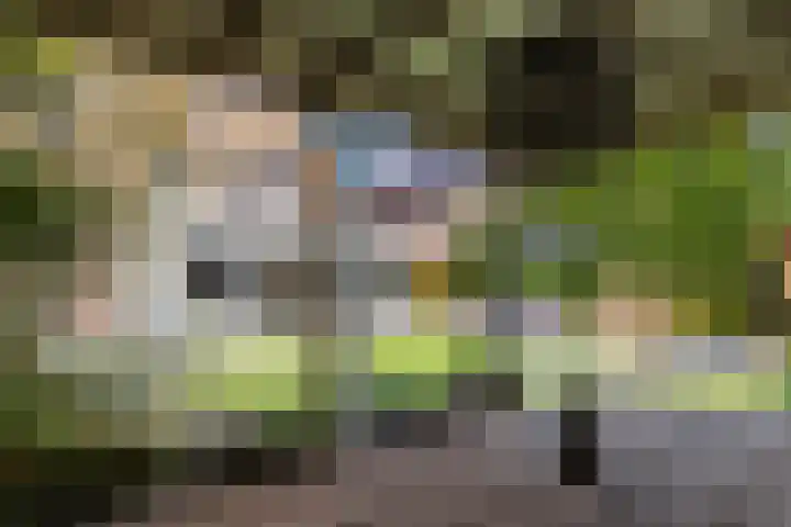 Fazantendreef 11 Moordrecht thumbnail 5
