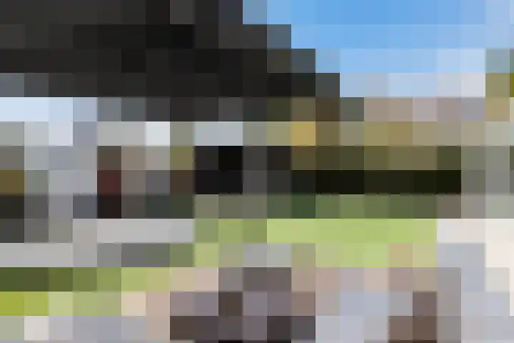 Fazantendreef 11 Moordrecht thumbnail 79