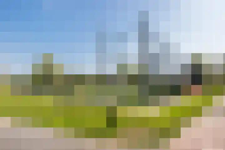 Fazantendreef 11 Moordrecht thumbnail 83