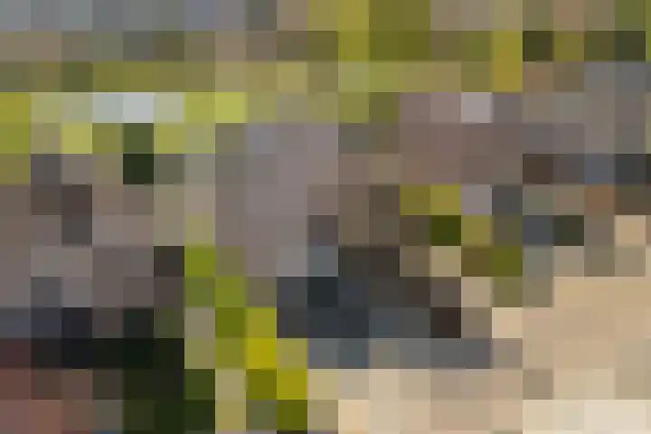 Fazantendreef 11 Moordrecht thumbnail 84