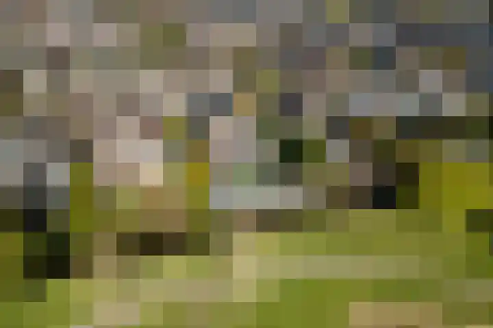Fazantendreef 11 Moordrecht thumbnail 88