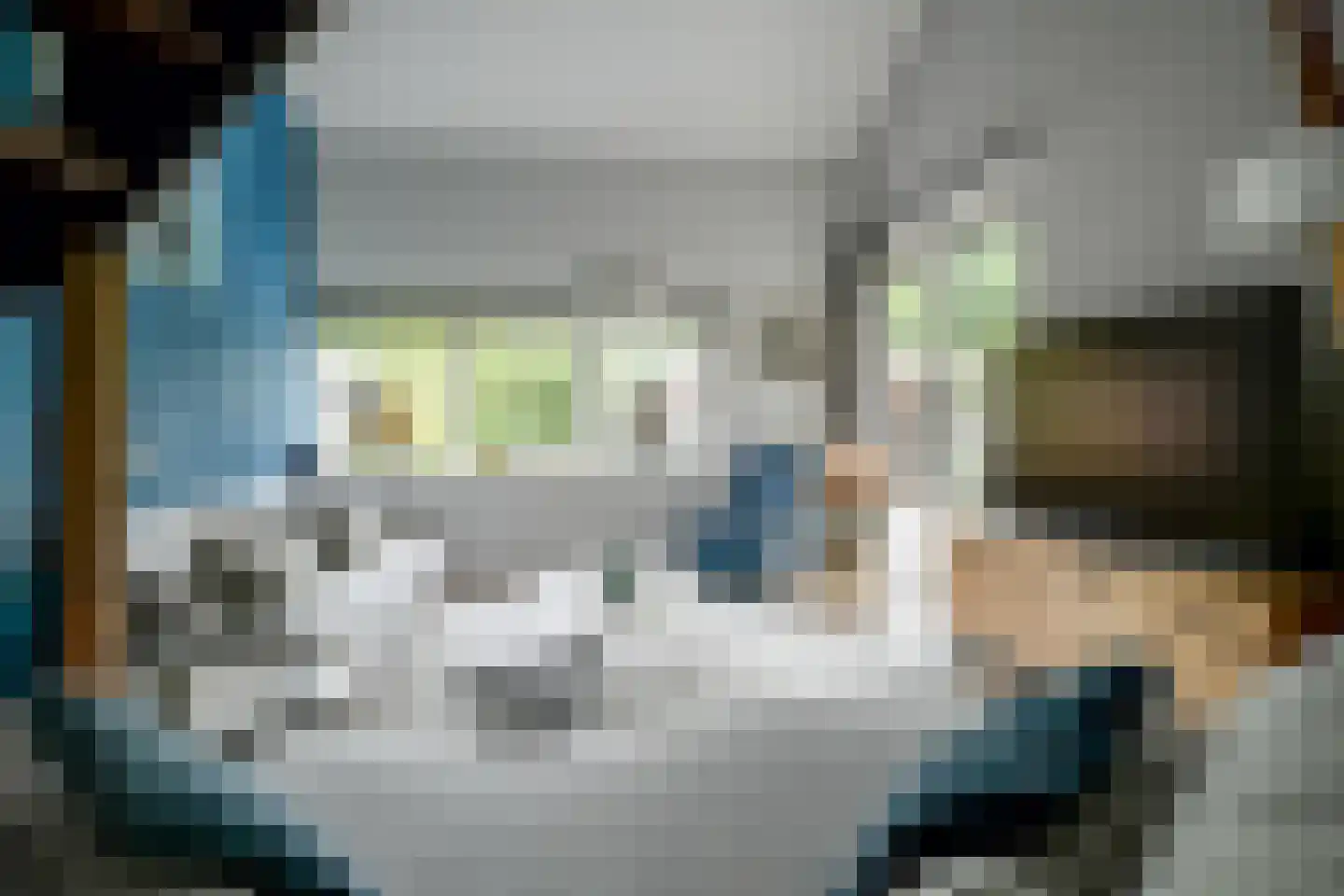 Fazantendreef 9 Bleiswijk thumbnail 11