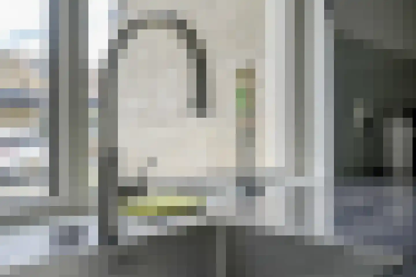 Fazantendreef 9 Bleiswijk thumbnail 21