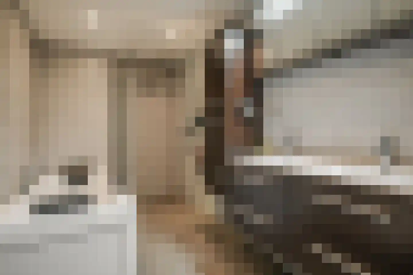 Fazantendreef 9 Bleiswijk thumbnail 31