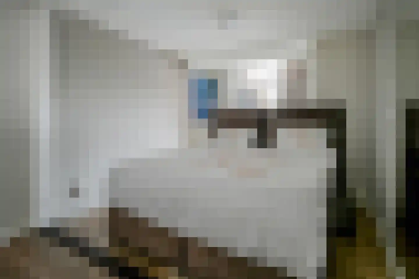 Fazantendreef 9 Bleiswijk thumbnail 35