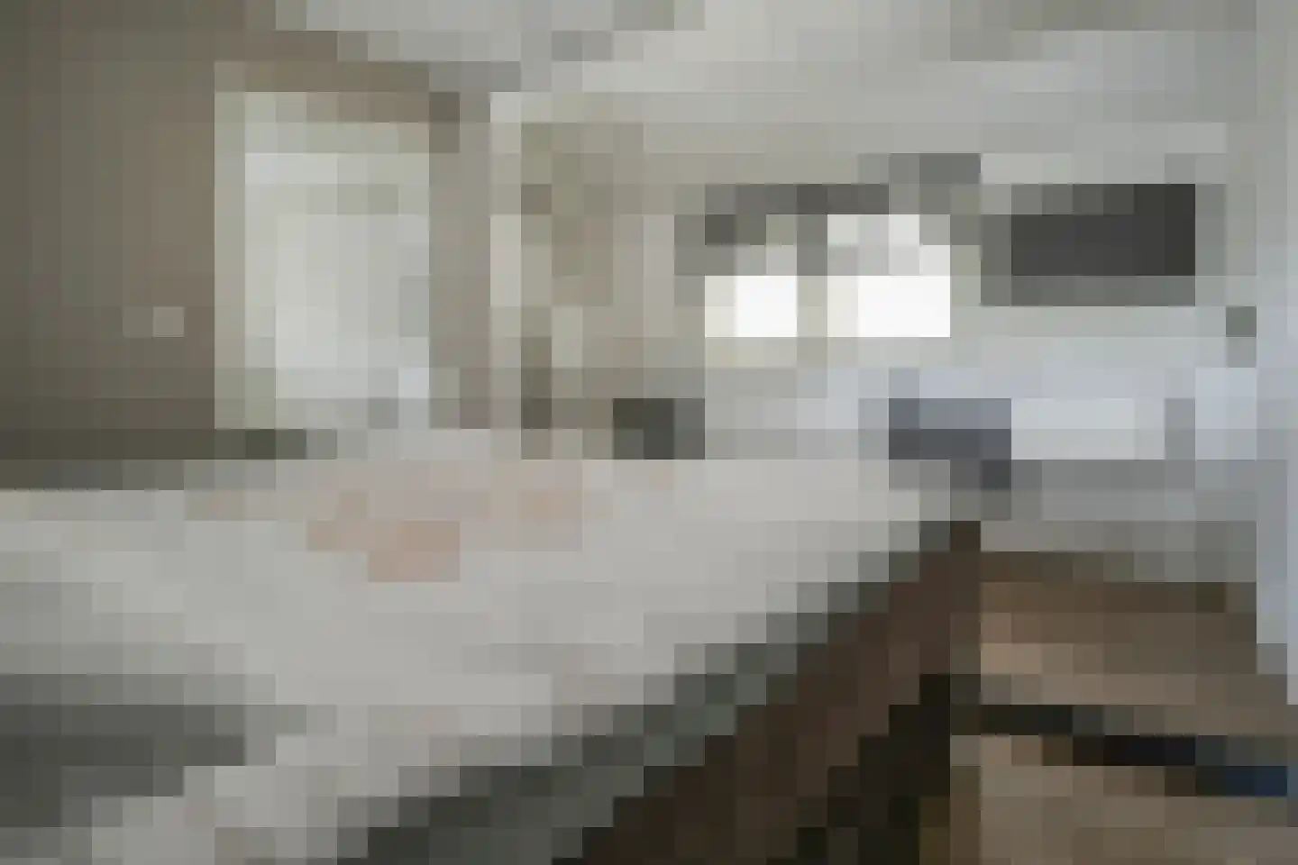Fazantendreef 9 Bleiswijk thumbnail 36