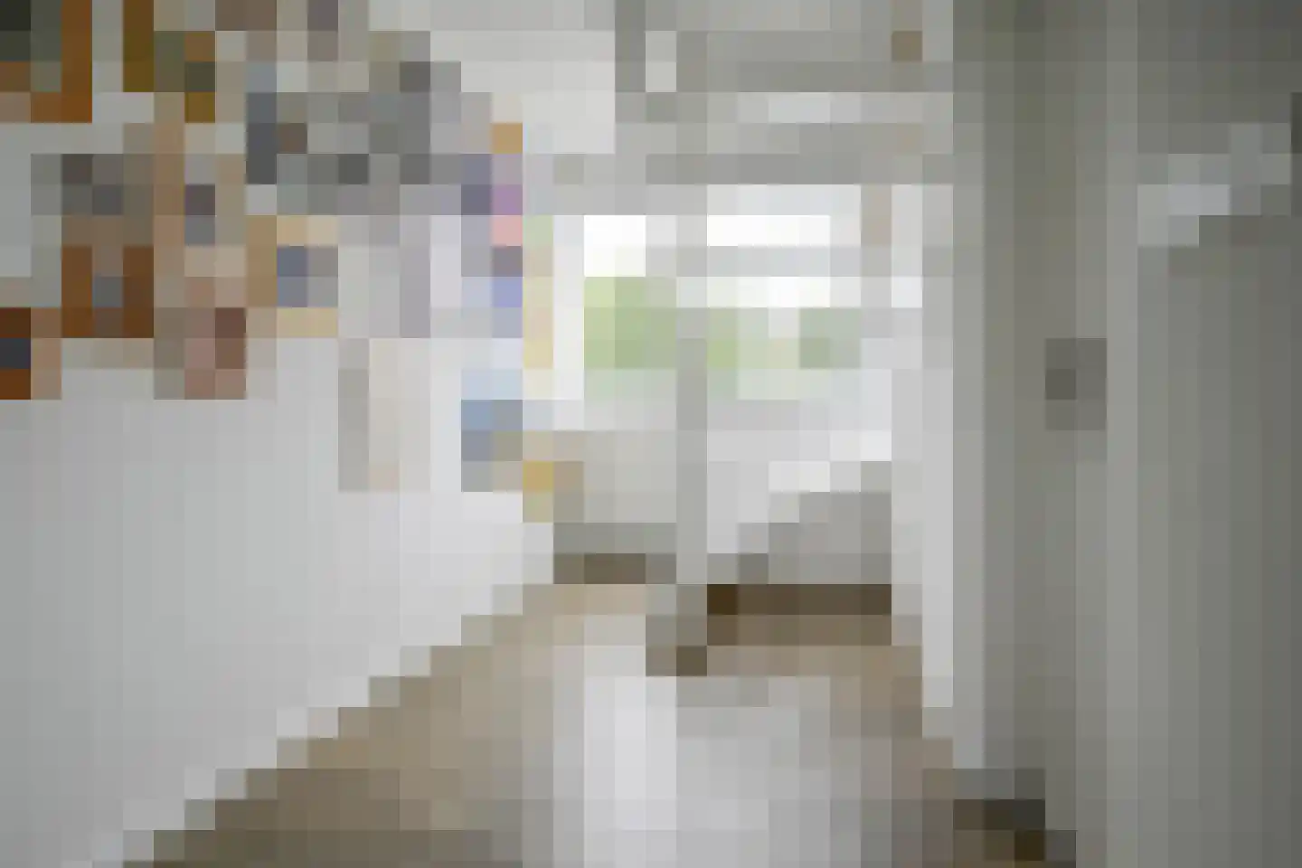 Fazantendreef 9 Bleiswijk thumbnail 38
