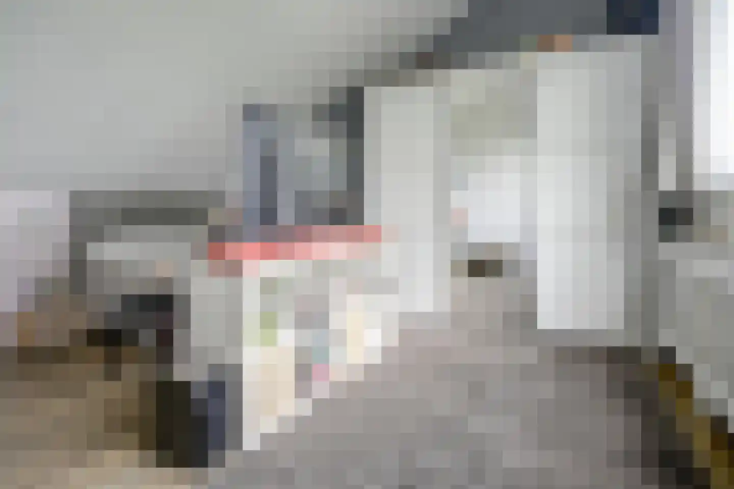 Fazantendreef 9 Bleiswijk thumbnail 39