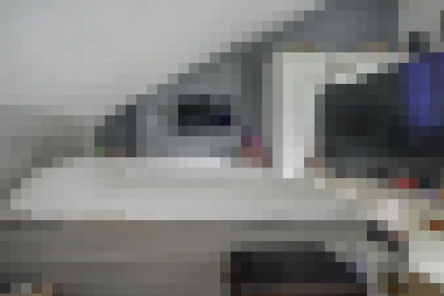 Fazantendreef 9 Bleiswijk thumbnail 42