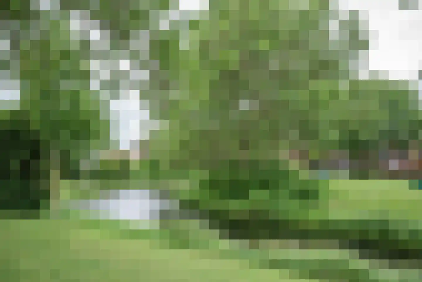 Fazantendreef 9 Bleiswijk thumbnail 55