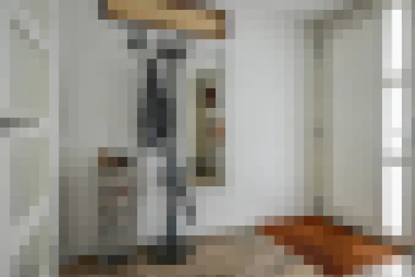 Fazantendreef 9 Bleiswijk thumbnail 7