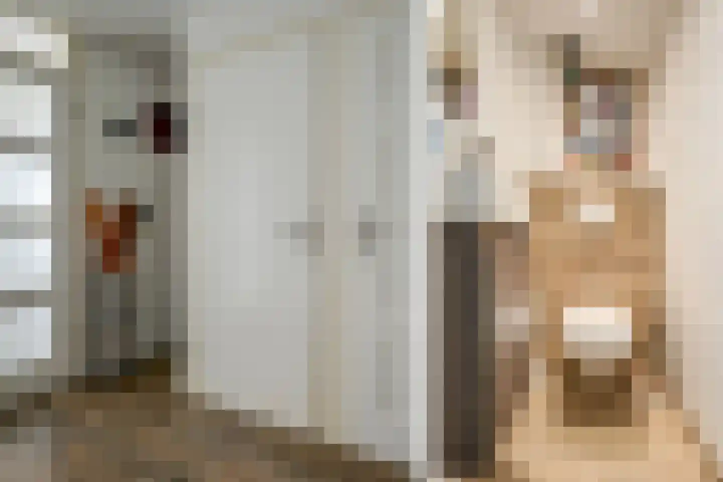 Fazantendreef 9 Bleiswijk thumbnail 8